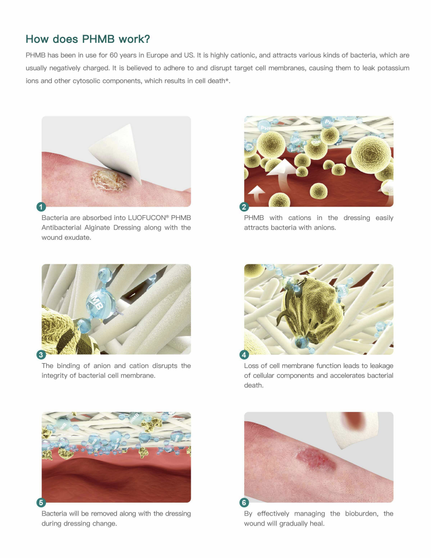 Curativo de Alginato Antibacteriano Estéril de Alta Absorção para Hemostasia PHMB